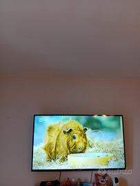 tv tcl 50 pollici 