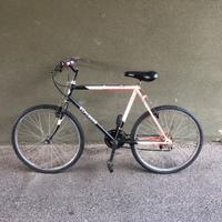 Mountain bike