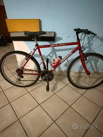 Bicicletta
