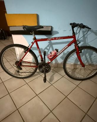 Bicicletta