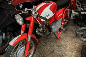 Aermacchi Harley davidson 250 sport
