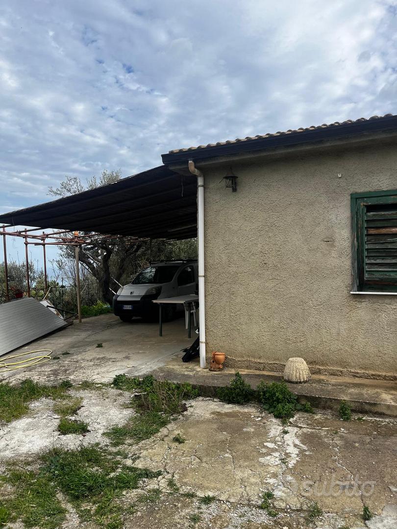 Casa con uliveto - Vista 4