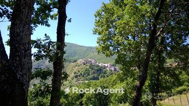 TRECCHINA (PZ)- CASALE CON TERRENO AGRICOLO DI MQ.