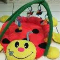 Palestrina coccinella Giordani