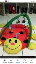 Palestrina coccinella Giordani