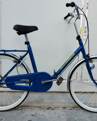 Bici pieghevoli e non