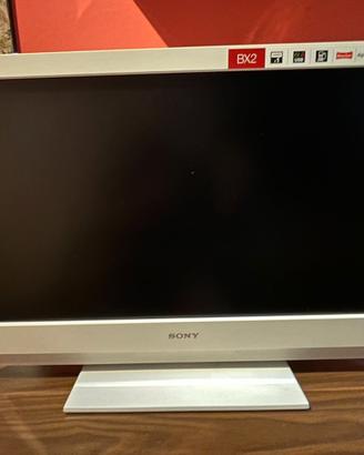 monitor tv KDL-22BX200