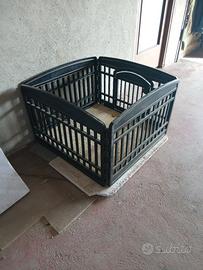 piccolo box x cagnolini