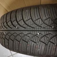Gomme da neve