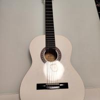 chitarra eko