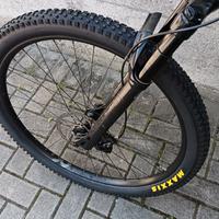 mountain bike elettrica