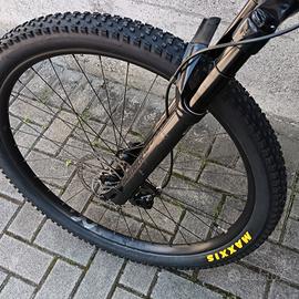 mountain bike elettrica