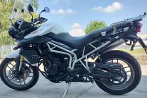TRIUMPH TIGER 800