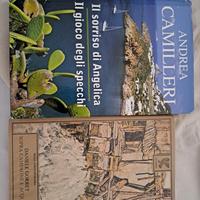 narrativa contemporanea 