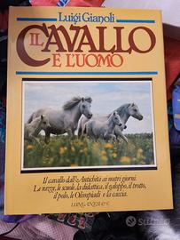 Il cavallo e l'uomo