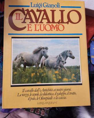 Il cavallo e l'uomo