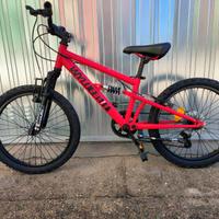 Mountain bike ammortizzata