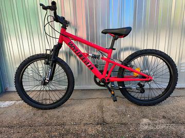 Mountain bike ammortizzata
