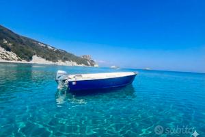 Canadian 560 in alluminio + Honda 40/50