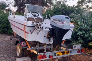 Open Gobbi Mariner 40 CV 4t iniezione e carrello?