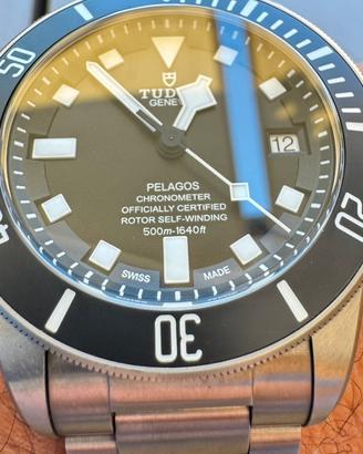 Tudor Pelagos 25600TN