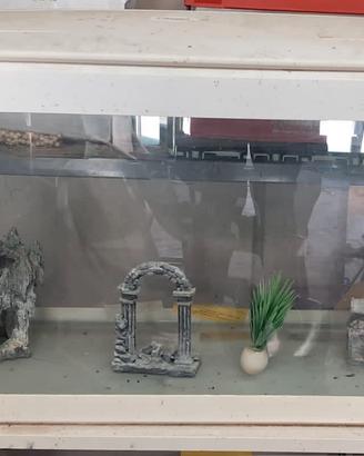 ACQUARIO COMPLETO 