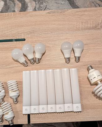 18 Lampadine LED e Risp. Energ. (E27 e 2G11)