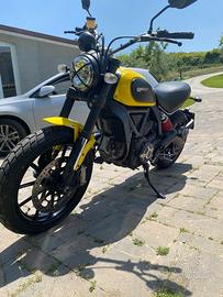 Ducati scrambler 800 icon