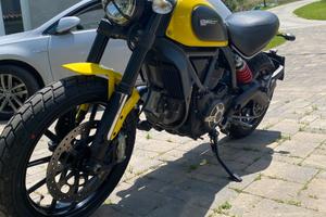 Ducati scrambler 800 icon