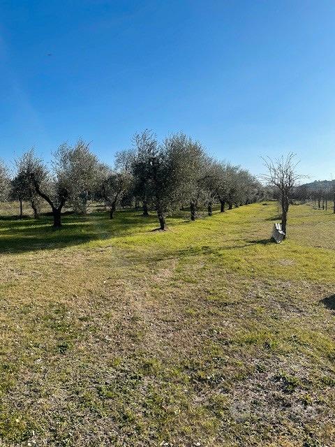 Zona tranquilla e relax ad empoli - Vista 2