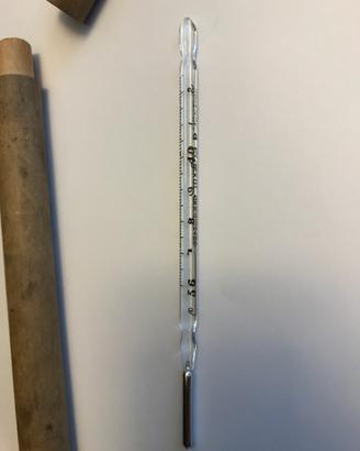 Termometro veterinario