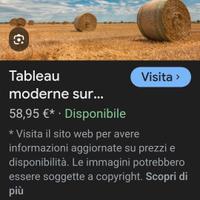 Rotoballe di fieno di sulla