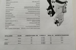 Motore EVINRUDE E-Tec 115 cv