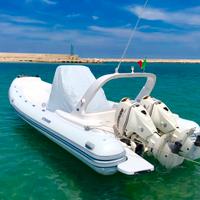 Stingher 800 GT - 2x Evinrude E-TEC 200 CV