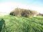 Immagine 20