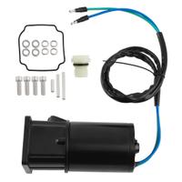 Trim elettrico Mercury