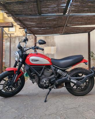 Ducati Scrambler  800