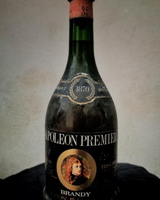 NAPOLEON PREMIER