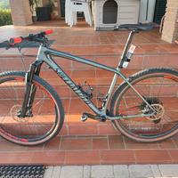 specialized epic ht 2019