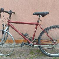 bici per adulto