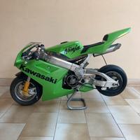 Minimoto