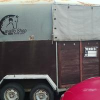 Trailer trasporto cavalli