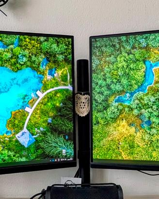 Doppio Monitor con Supporto