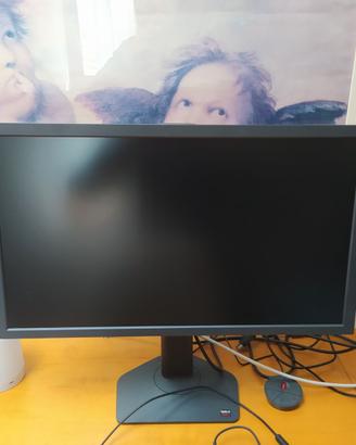 BenQ ZOWIE XL2566X+ eSports Monitor Gaming 24 poll