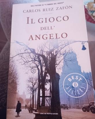 romanzo "Il gioco dell' angelo"