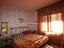 Immagine 7
