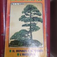 libro bonsai japponesi scuola vivaio vintage