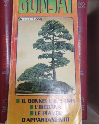 libro bonsai japponesi scuola vivaio vintage