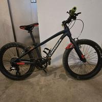 bicicletta da bambino
