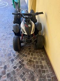 Quad 50 con motore italiano minarelli